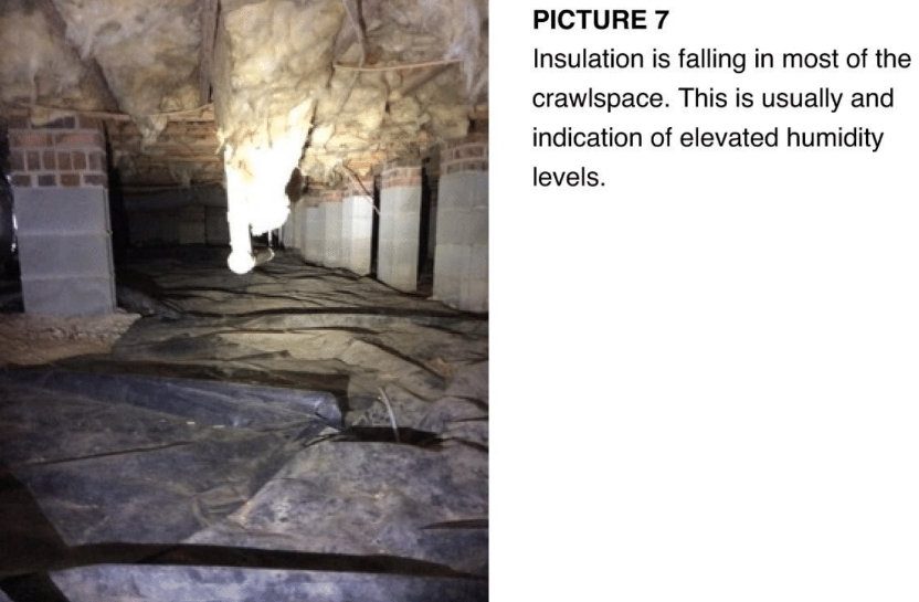 ESG inspector documenting moisture damage beneath a subfloor during a North Carolina home assessment