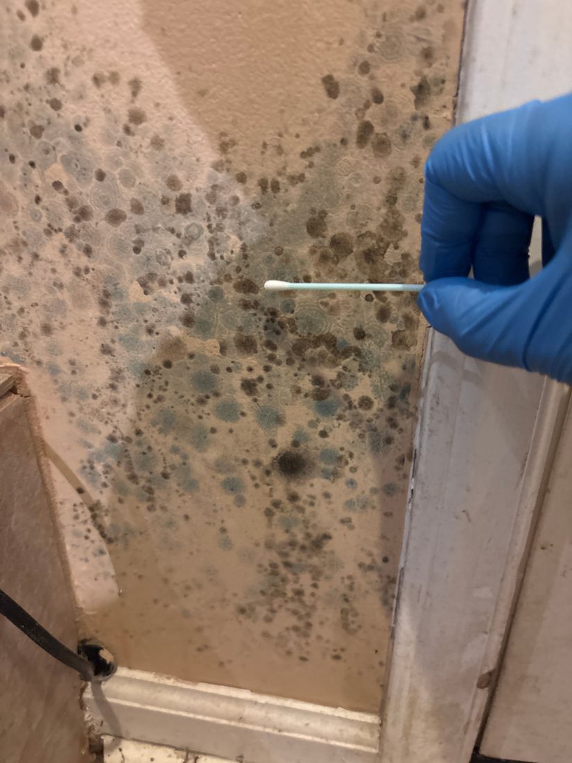 ESG technician collecting a mold surface sample from a wall in a Greensboro, NC home