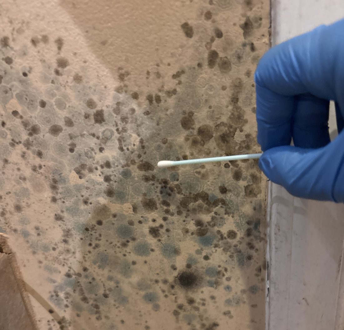 ESG inspector collecting a surface sample during lead testing at a Greensboro NC property