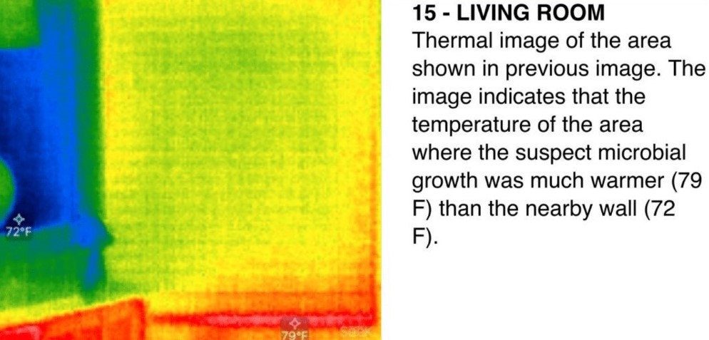 Thermal imaging scan revealing hidden moisture inside a wall